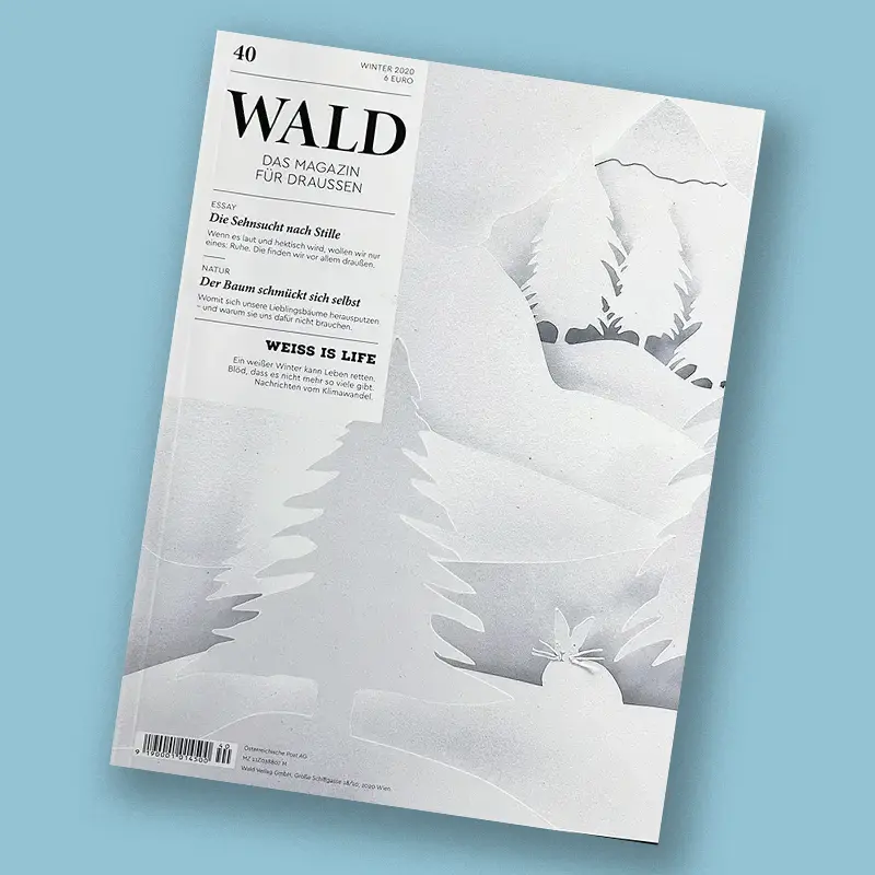 Cover Waldmagazin