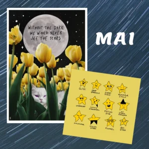 Re-Stock Mai (Snailmail)